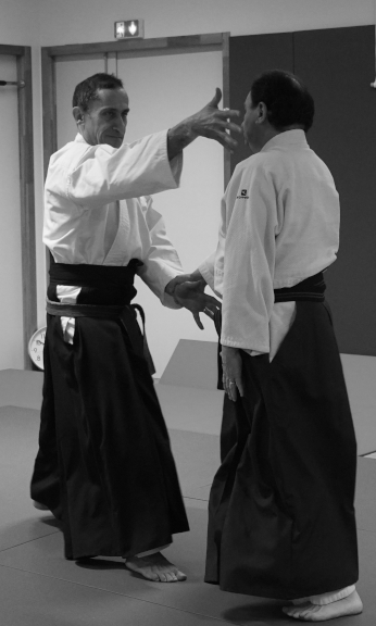 TachiHakkoZemeDori lght